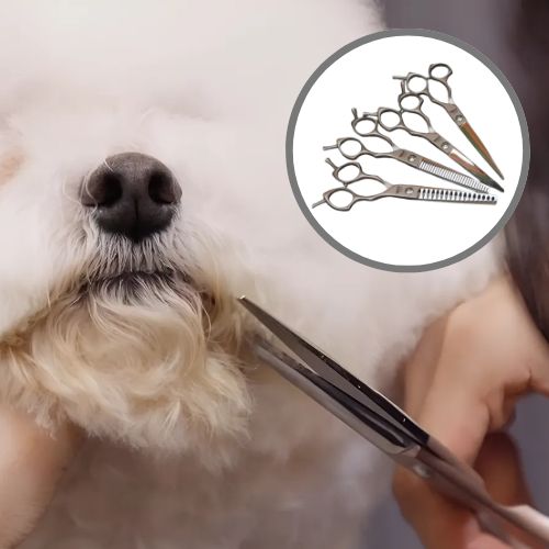 애견미용가위 세트 커브가위 숱가위 요술가위 일자가위 머즐가위, 1개 88,000원