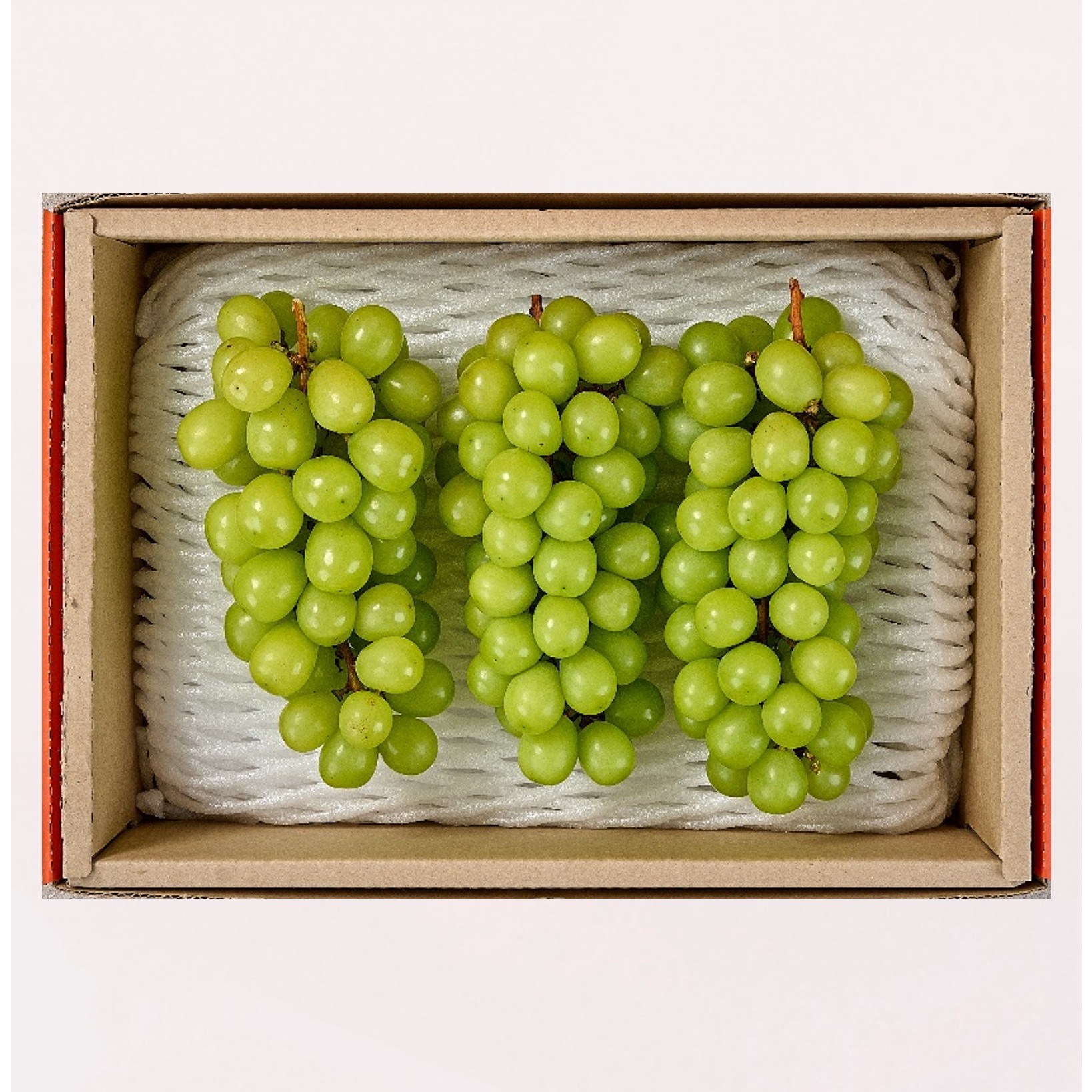 최고급특수농법 21brix 꿀범벅 명품 샤인머스켓 선물세트 39,550원