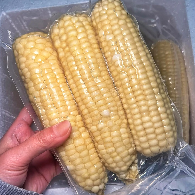 돌쇠네 쫀득한 식감이 좋은 무주 대학 찰옥수수, 1개, [정품] 대학 찰옥수수 24개 (3개입 x 8팩) 34,900원