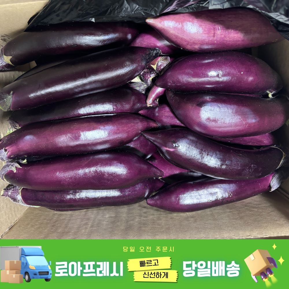 [로아프레시] 당일경매 당일발송 신선한 국내산 못난이가지 8,000원