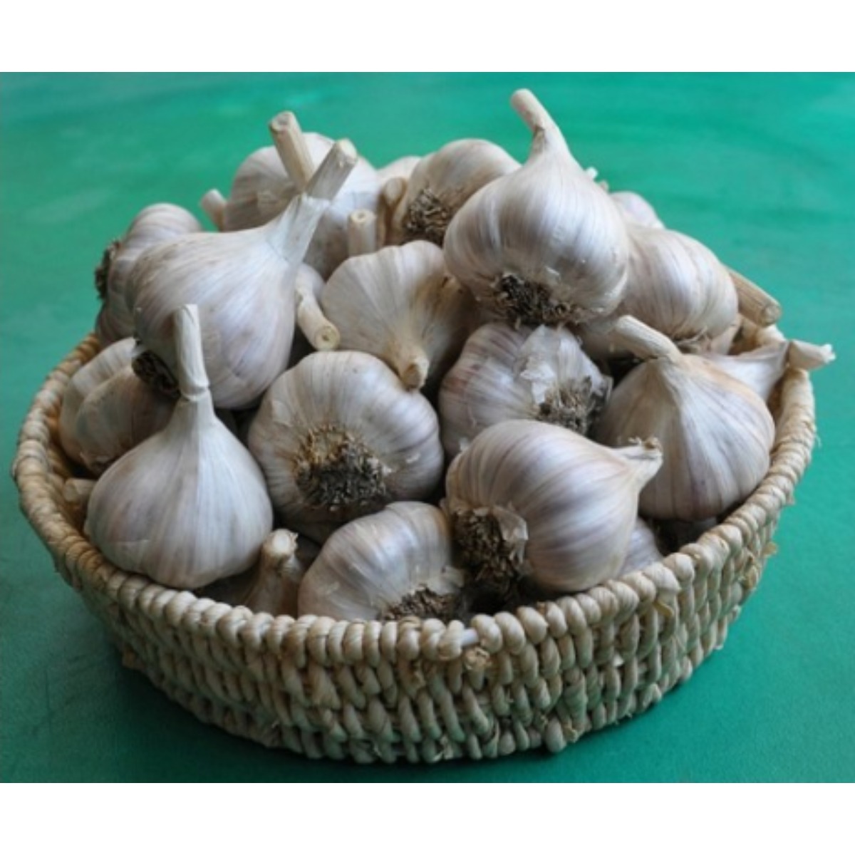2025년 의성마늘 육쪽 통마늘 한지형 국산마늘  김장용 햇마늘 토종마늘 75,000원
