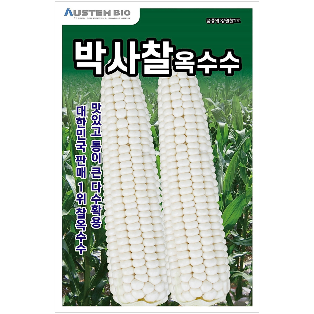 [주주씨앗] 백찰옥수수 씨앗 150립 / 박사찰옥수수 통 큰 다수확용 옥수수 종자 / 봄 파종 채소씨앗 씨앗몰, 1개 6,800원