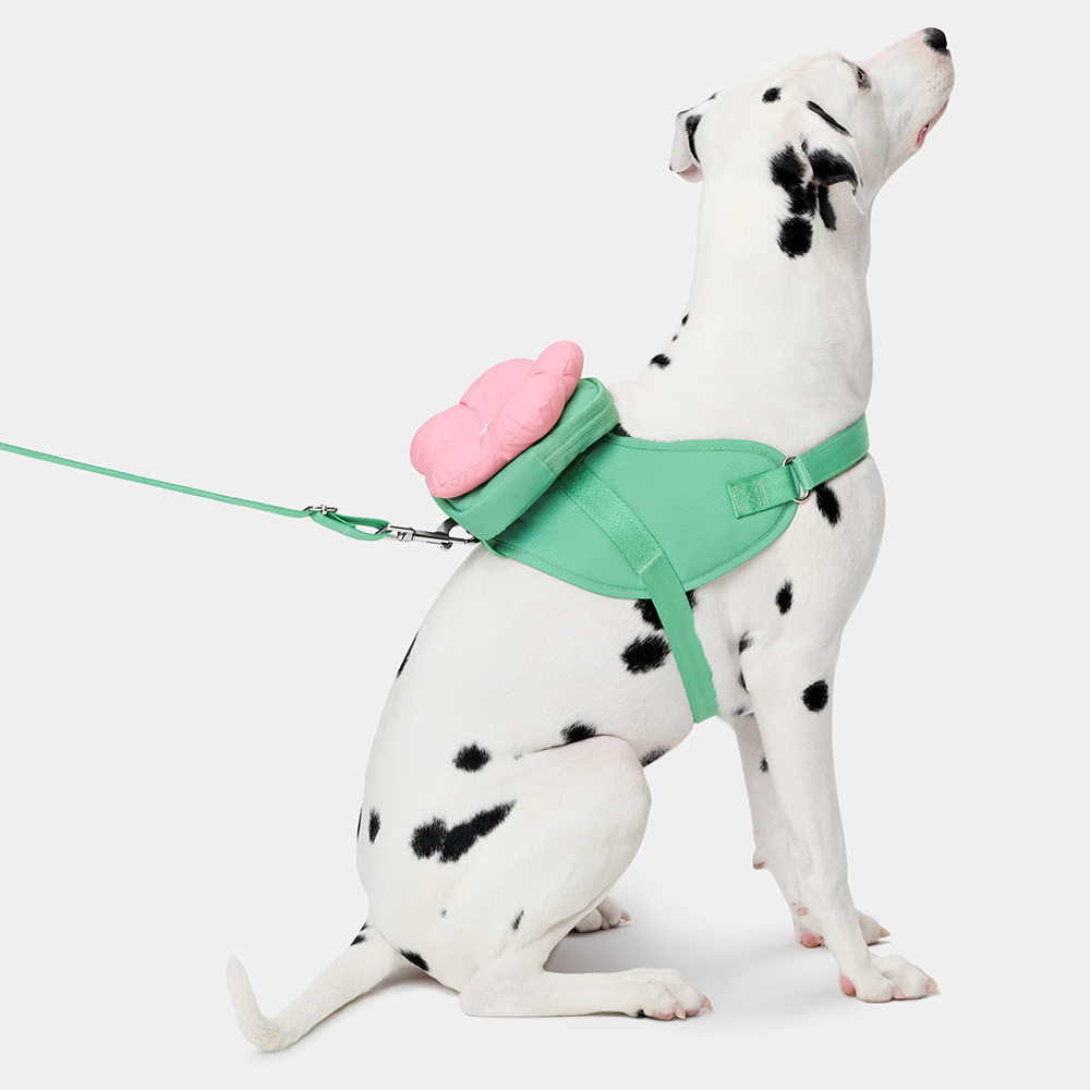 VETRESKA 플로라 펫 하네스 & 백팩 세트, 1개, 플로라 펫 하네스 & 백팩 세트 57,000원