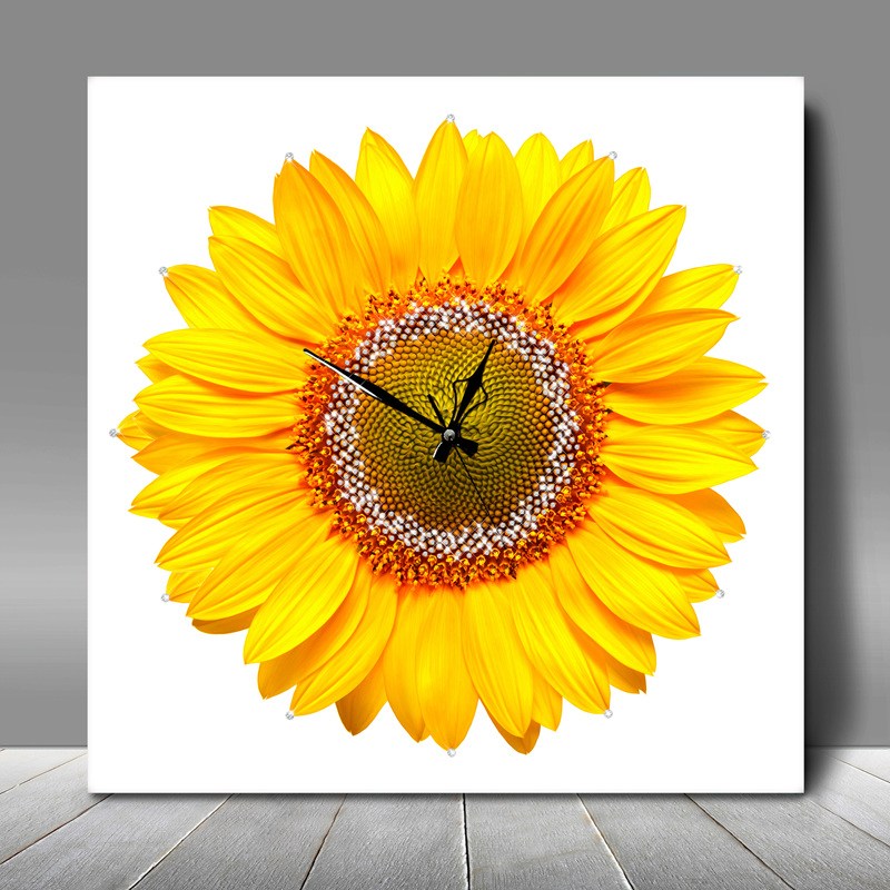 피앤피몰 [특허]보석 해바라기 시계 액자 금전운 풍수지리인테리어 돈들어오는 그림, 01. 해바라기 시계_화이트 89,000원
