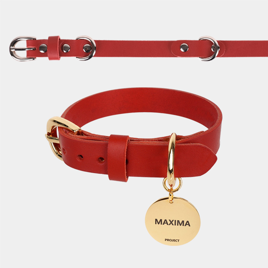 MX PET 베지터블 가죽 목줄 325X RED 강아지 소 중 대형 각인, 레드/리드줄셋업형, 1개 43,900원