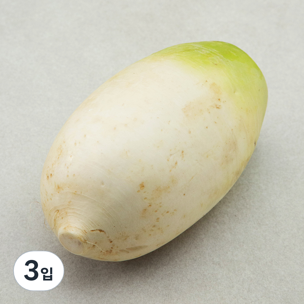 제주 세척 무 4,590원