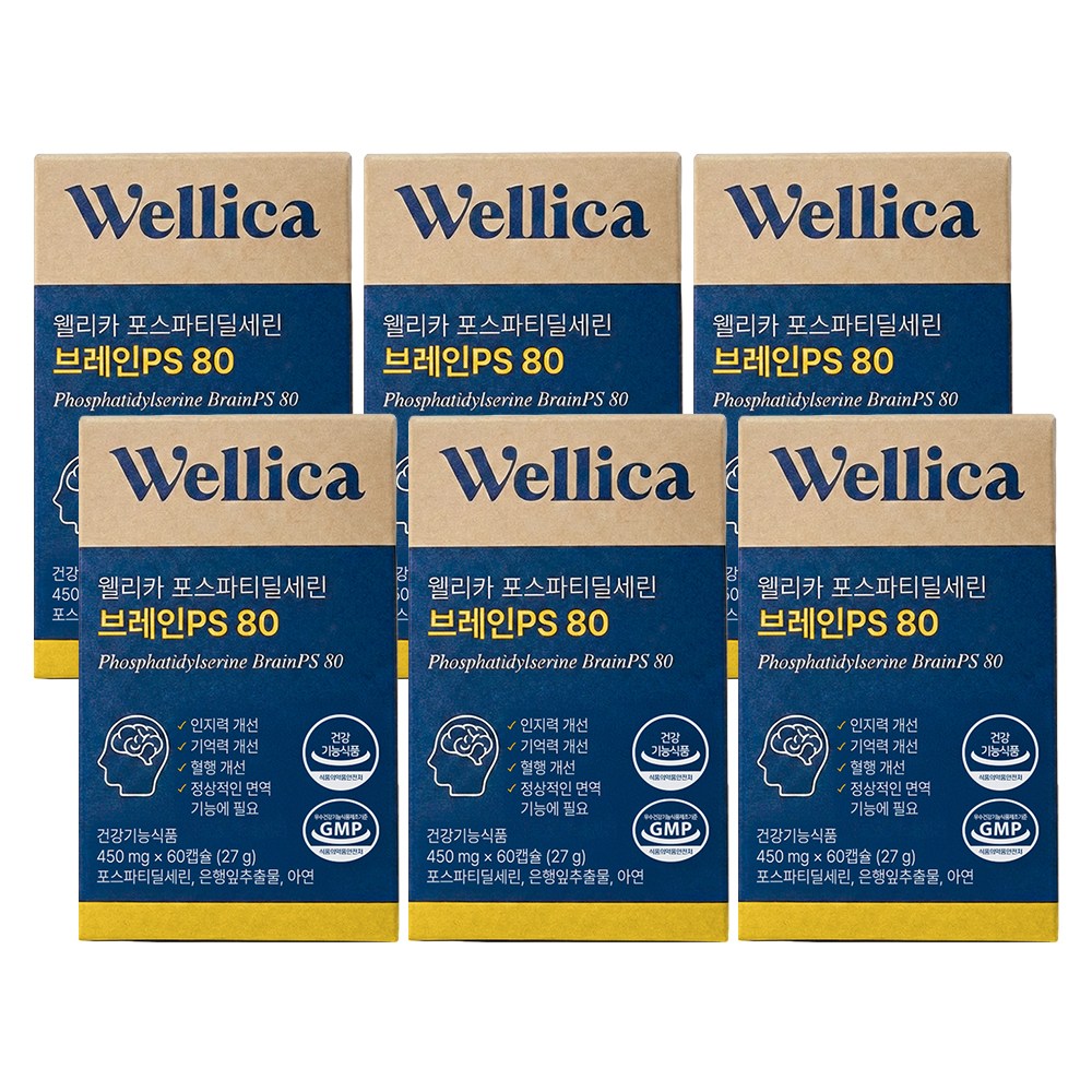 웰리카 프리미엄 포스파티딜세린 브레인PS 80, 6개, 60정 192,000원