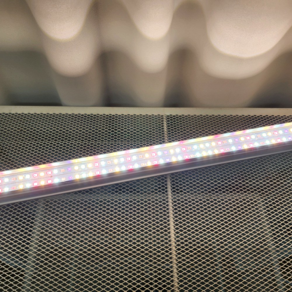 식물전파사 꿀빠 60cm 단독상품 83,700원