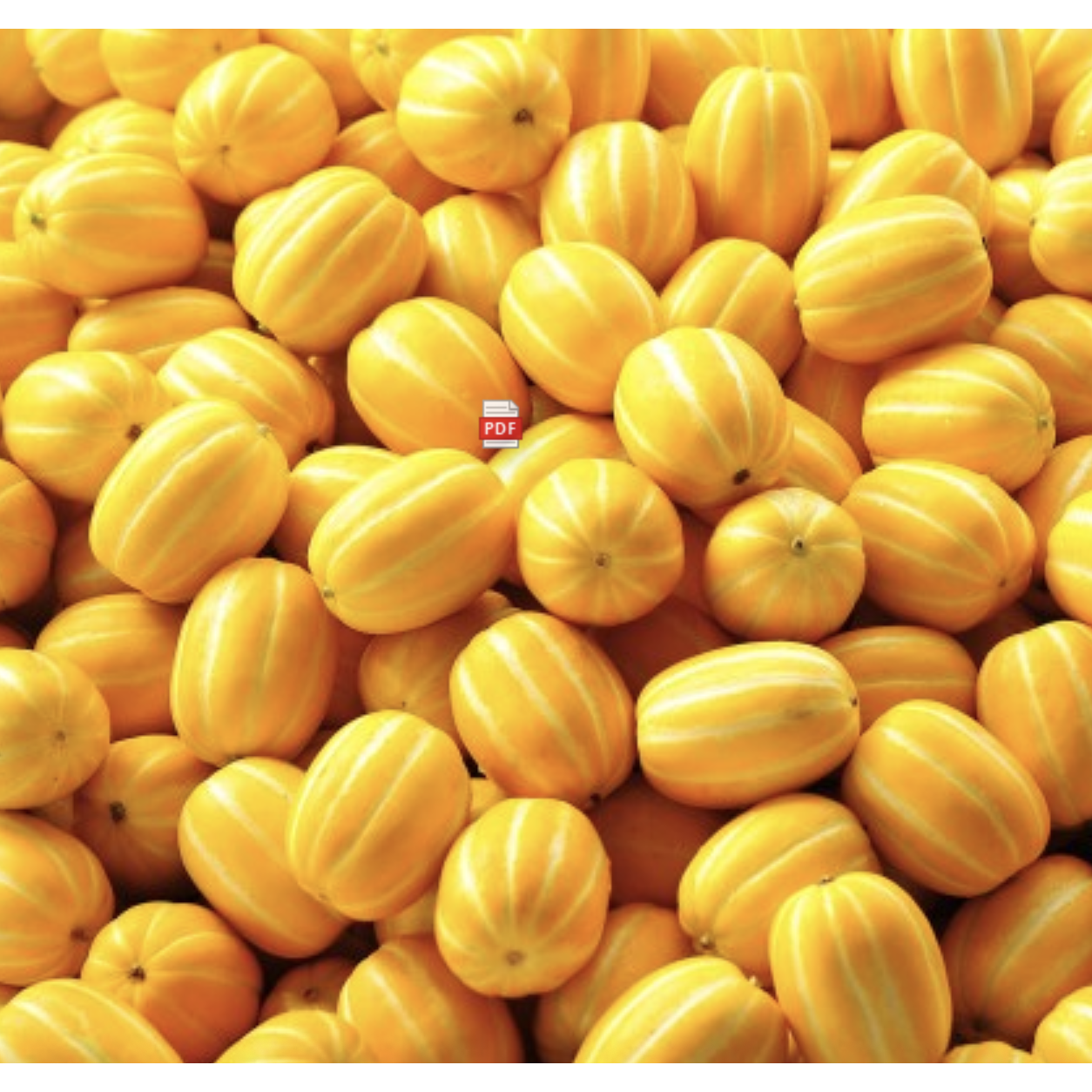 [진토백미] 성주 참외 정품 로얄과 당도100%선별 산지직송 성주 꿀참외 26,900원