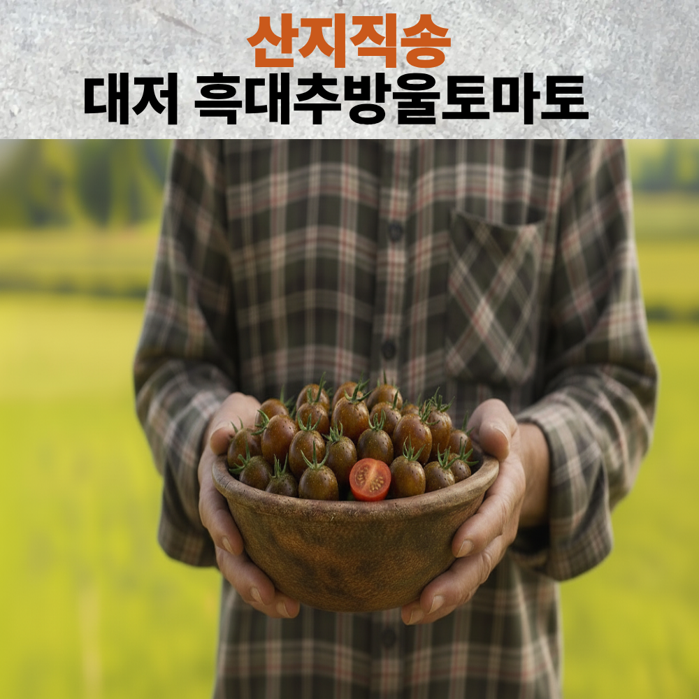 프리미엄 국내산 대저 흑대추 방울 토마토 12,800원