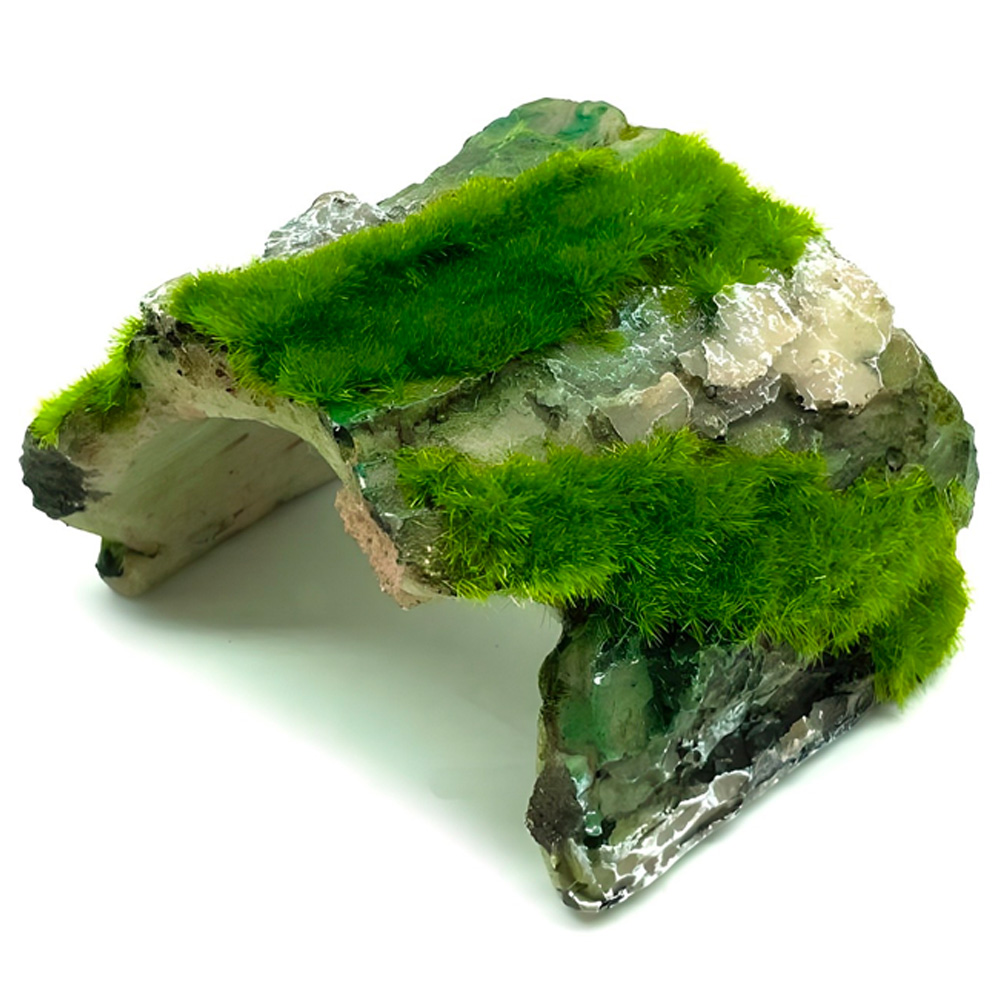 모비딕 이끼나무은신처 F3070S 6,000원