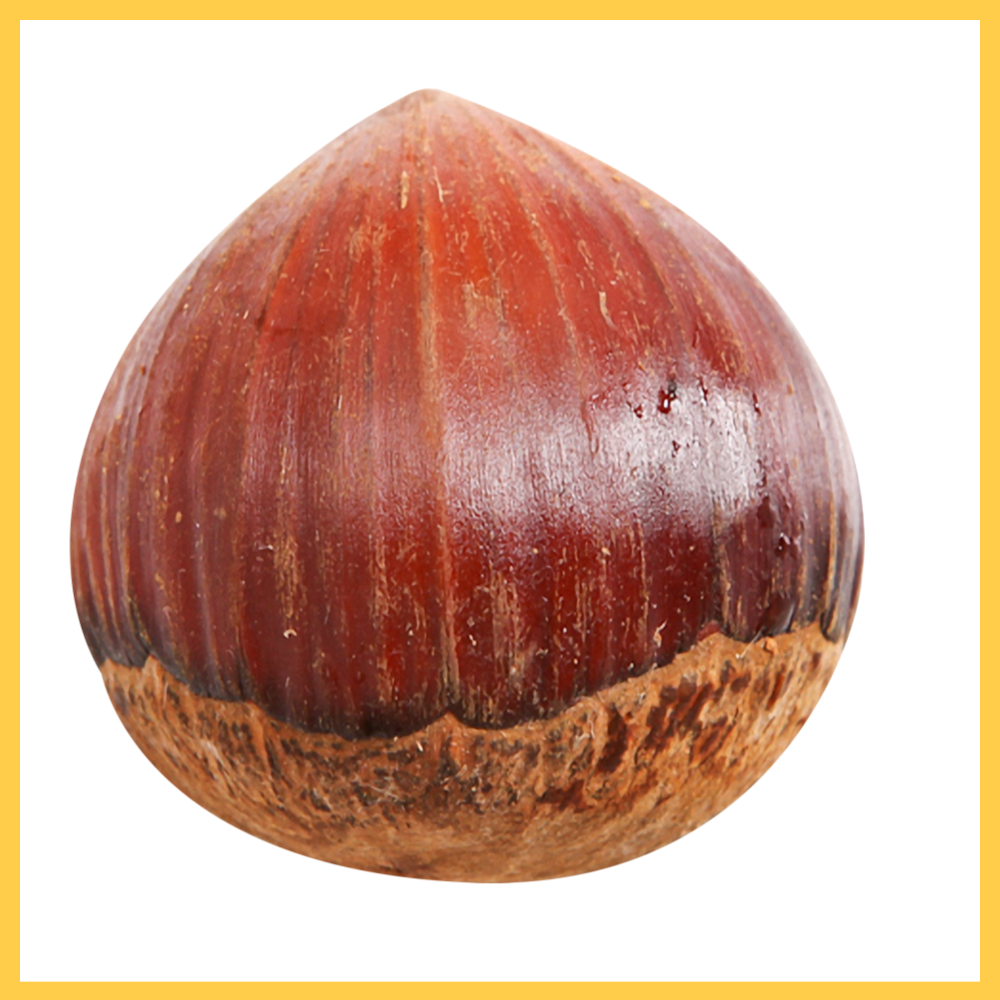 하일리 수납형 시스템 행거 튼튼한 드레스룸 조립식 스탠드 철제 서랍 대용량 2단 200,000원