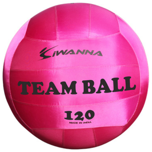 아이워너 팀볼 100cm / 120cm, 핑크(120cm), 1개 149,500원