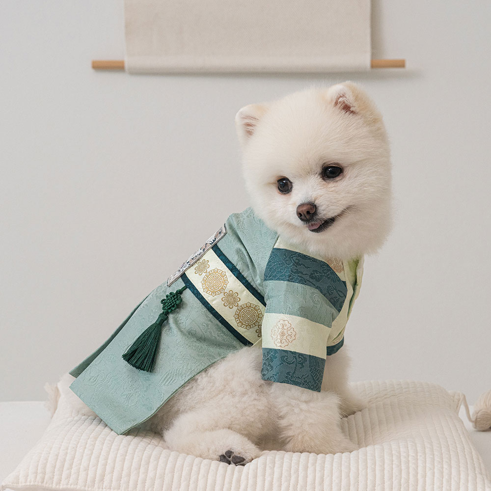 항균 서후왕자 강아지한복 애견의류 옷 고양이 추석 설날 29,000원