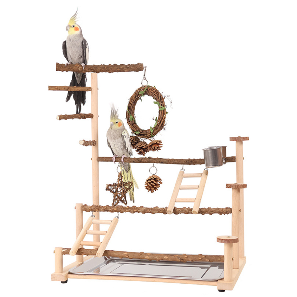 칠시 앵무새 4단 놀이터 횃대, 혼합색상, 1개 39,800원