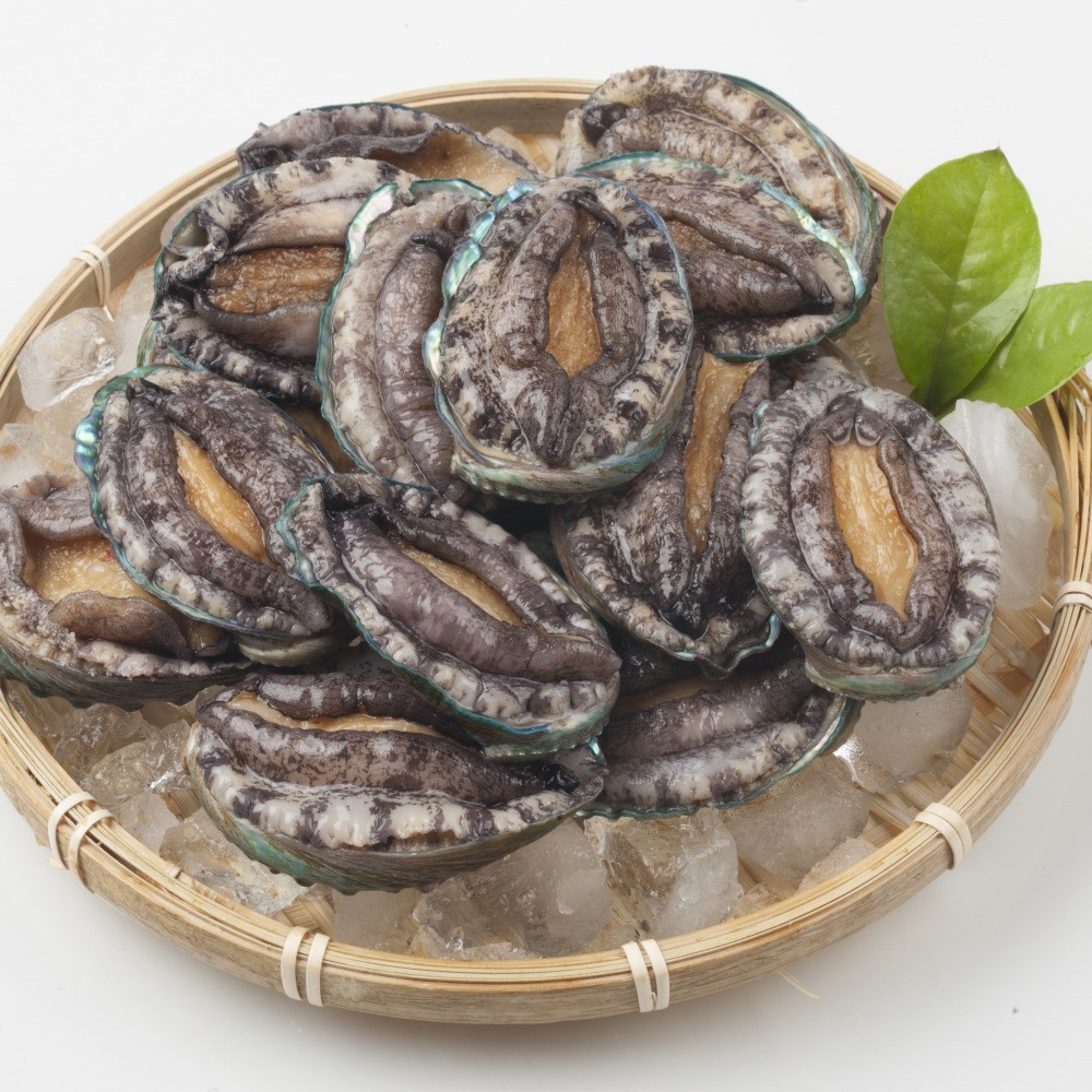 이음식관 싱싱한 완도 활전복 제철수산물 산지직송 28,000원