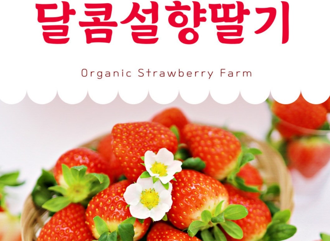 1+1 프리미엄 설향딸기 1팩(15과내외) │ 국내산 신선 과일 · 디저트 33,500원