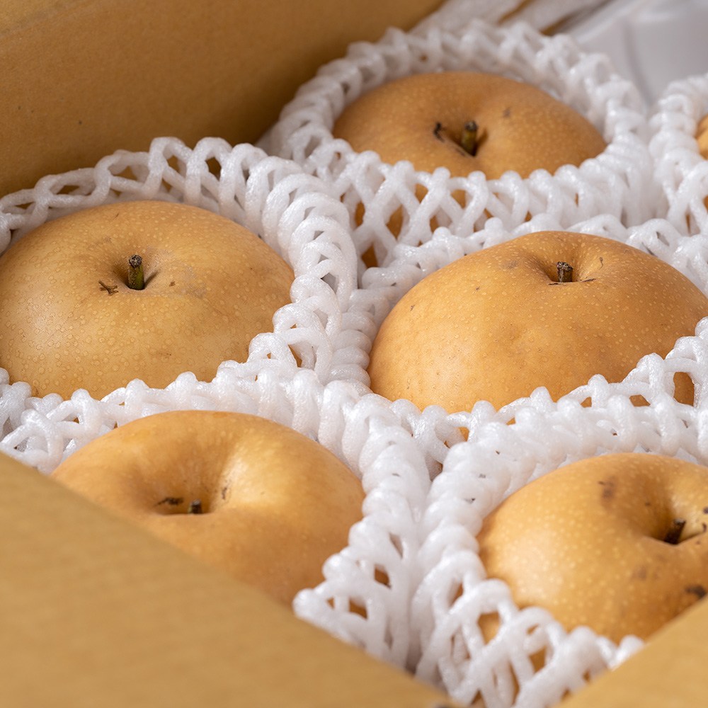 나주로농산 자연진리 나주배 가정용, 1개, 현재가 17,900원