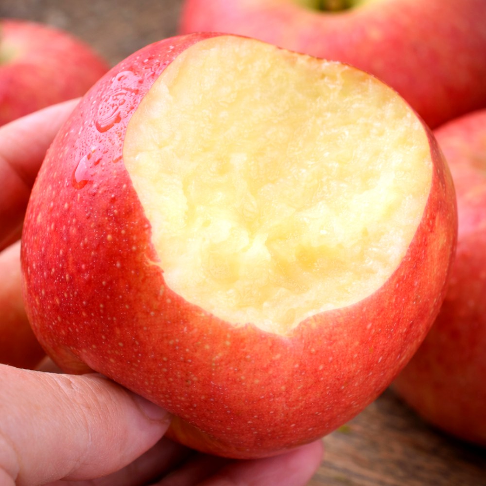 [5일간초특가] 아삭달콤신선한 청송 부사 사과 39,900원