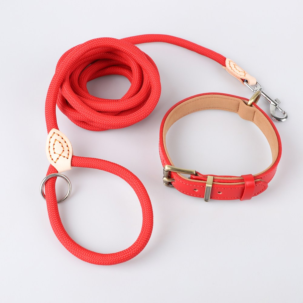 모즈펫 강아지 가죽목줄+리드줄, 1세트, 프리미엄 레드 31,900원