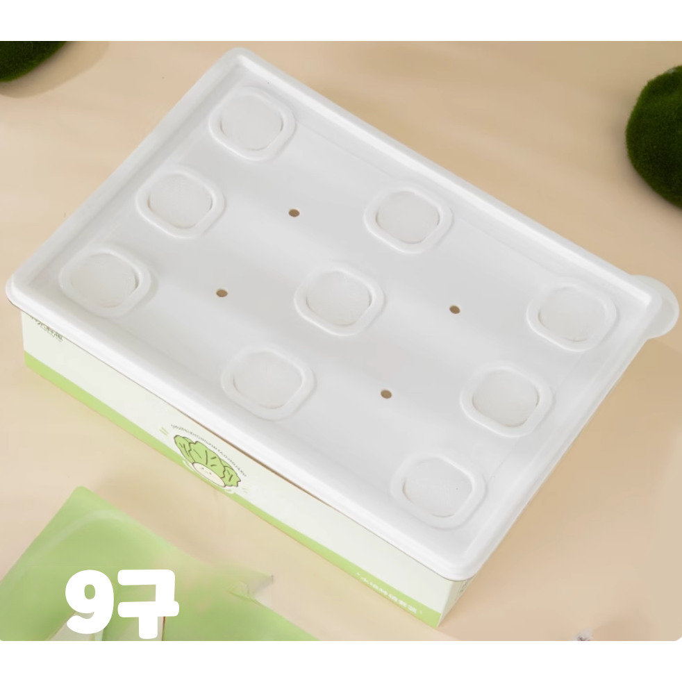 상추 샐러드 수경재배키트 9구 19,900원