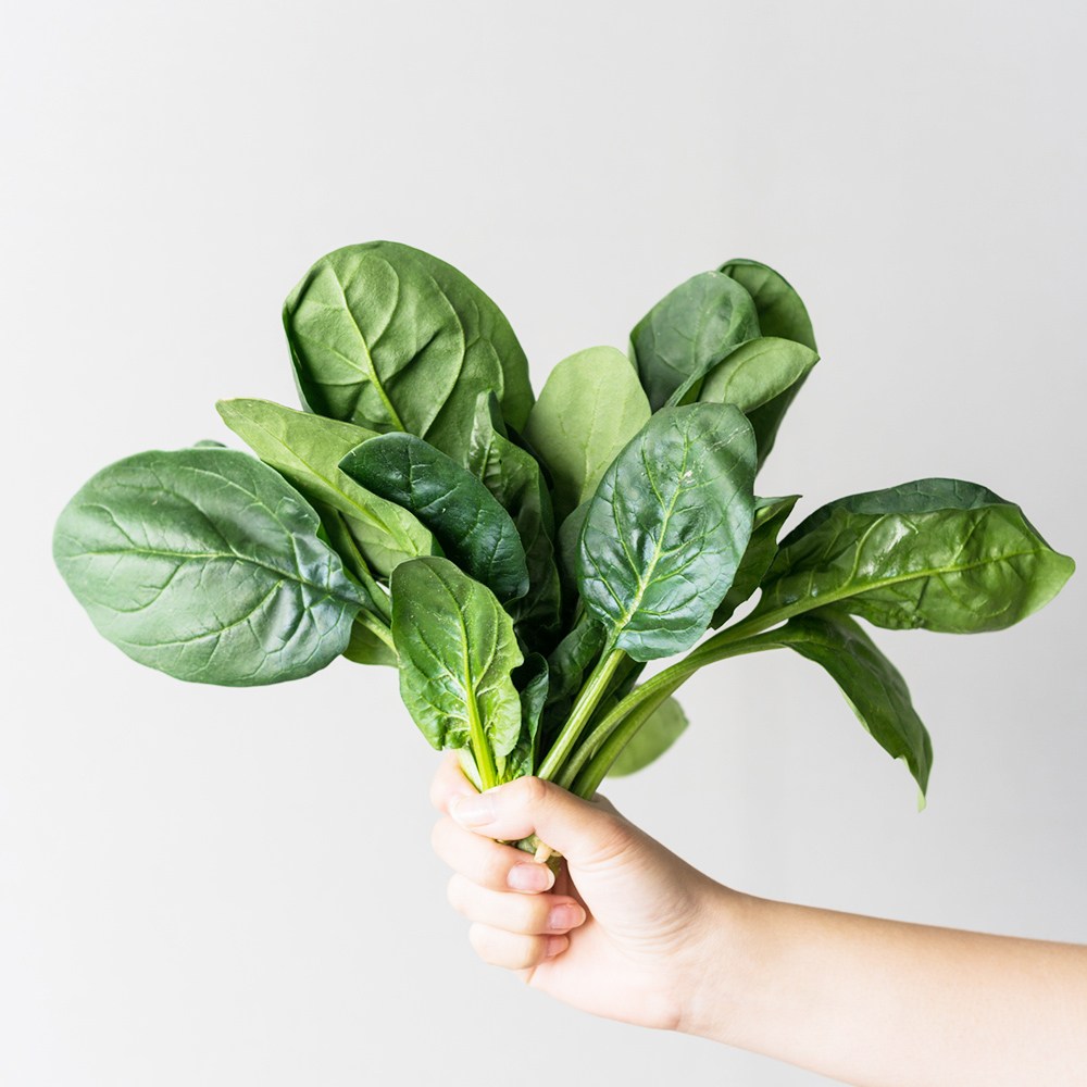 [재주문 1위] 달달한 국내산 시금치 14,650원