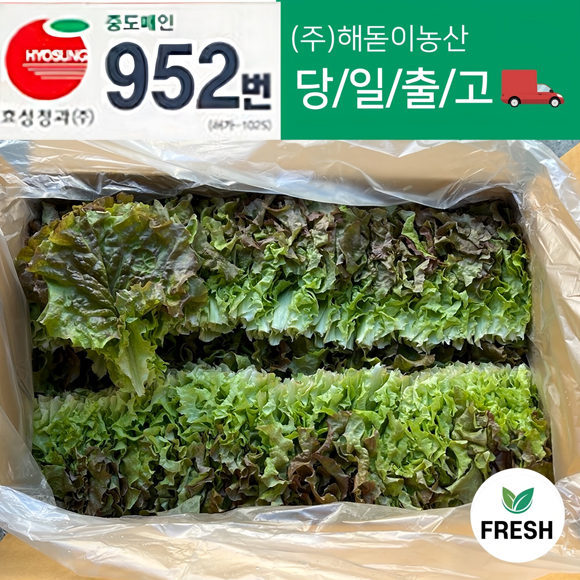 <해돋이농산> 꽃상추 2kg내외 4kg내외(상) 7,800원