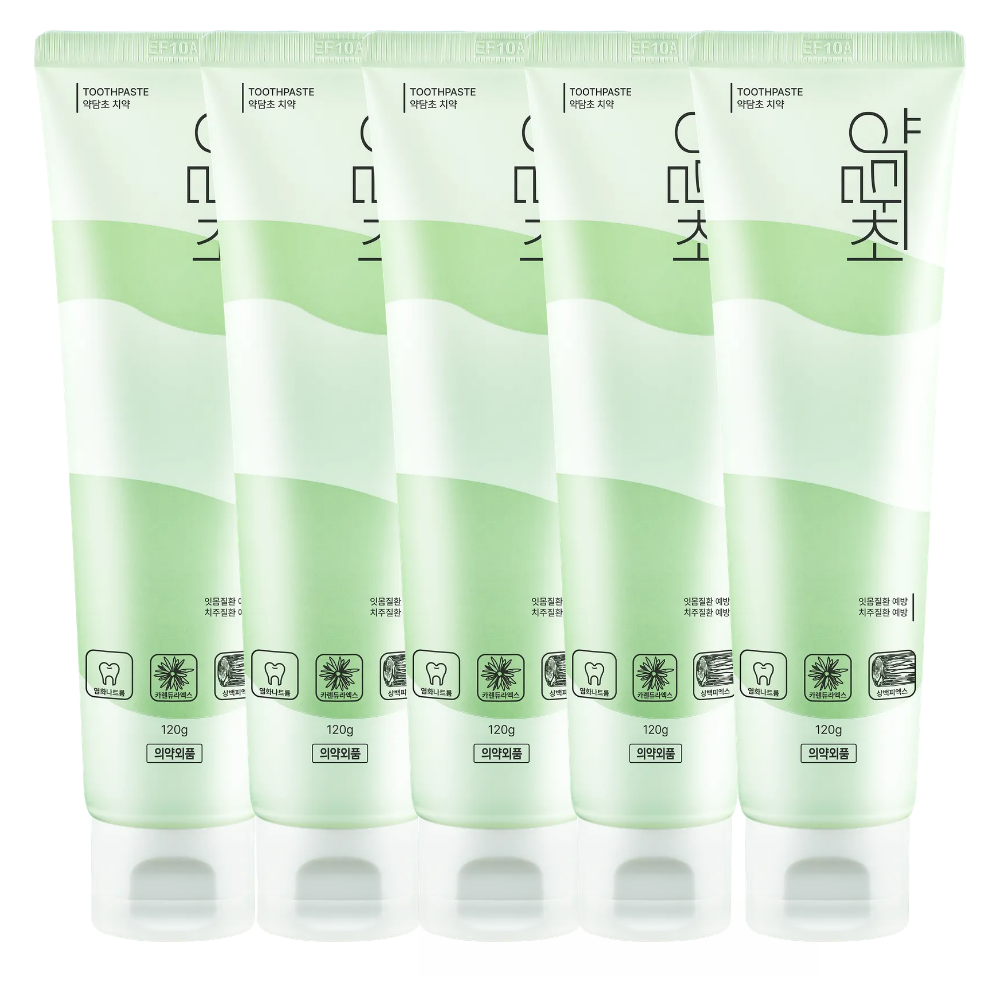 약담초 구취케어 잇몸치약 무불소 소금치약, 120g, 5개 44,500원