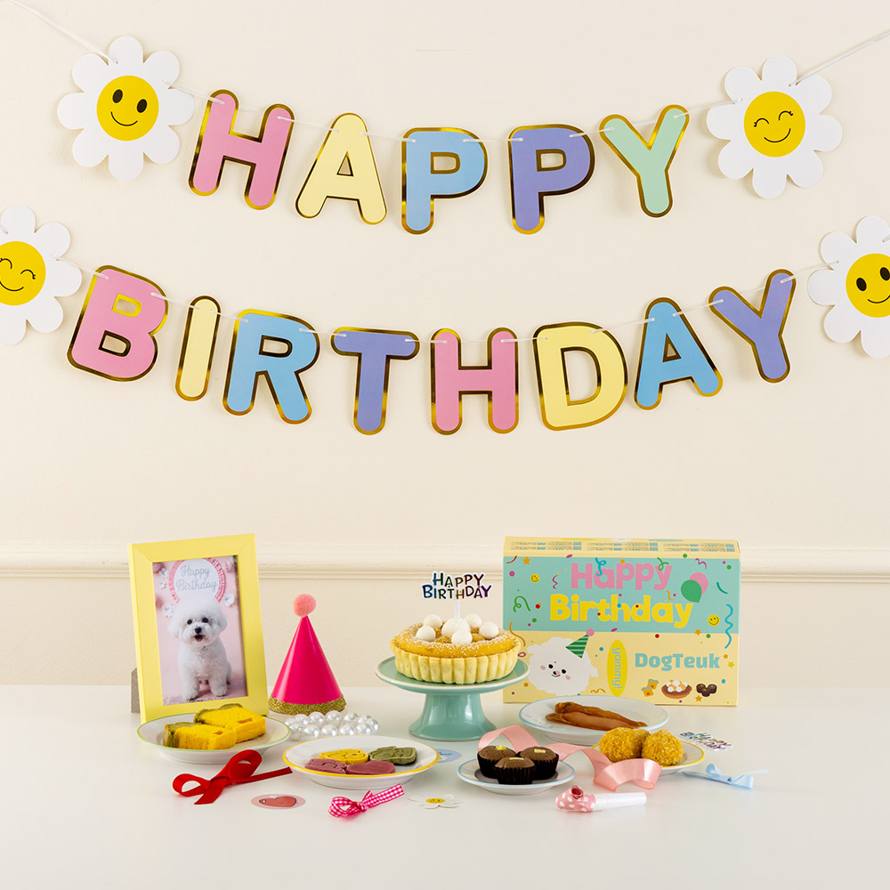 강아지케이크 생일파티상 12종 풀패키지 케이크 생일상수제간식 각종용품세트, 1개 43,900원