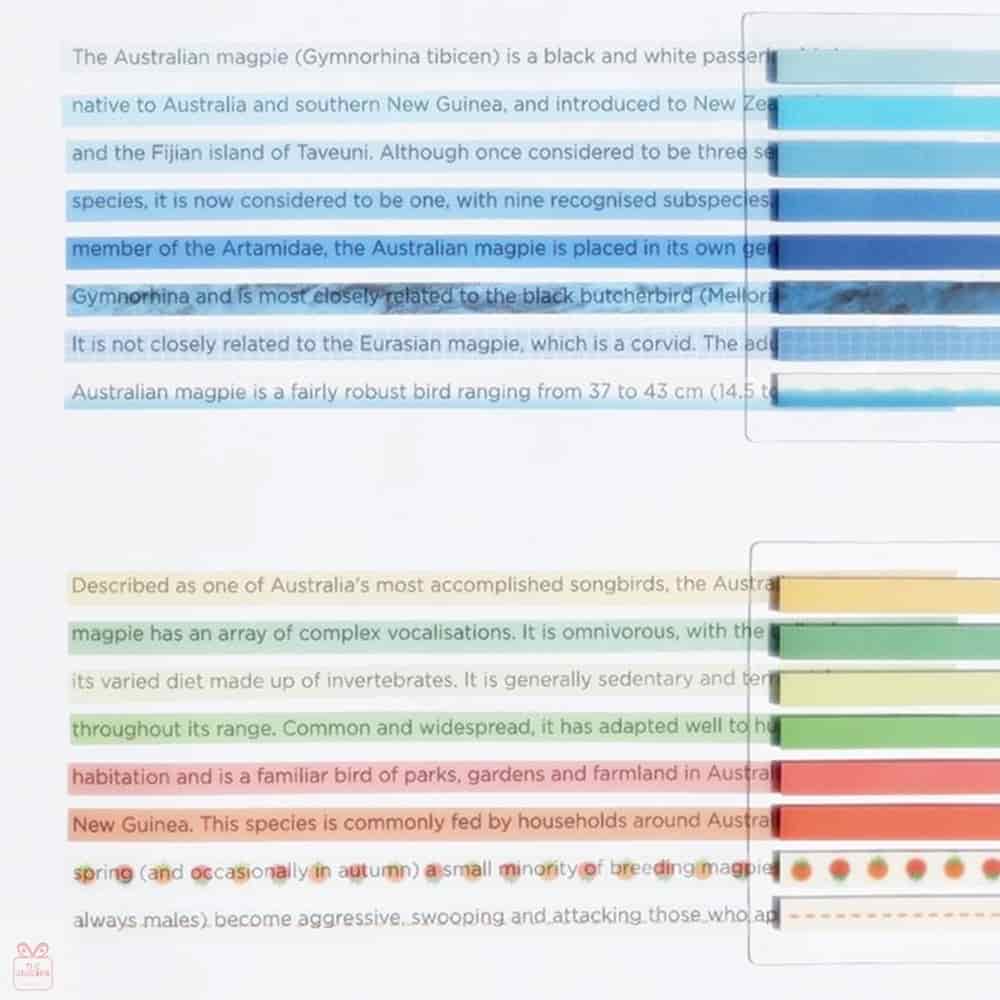 비온뒤 롱인덱스 4,290원