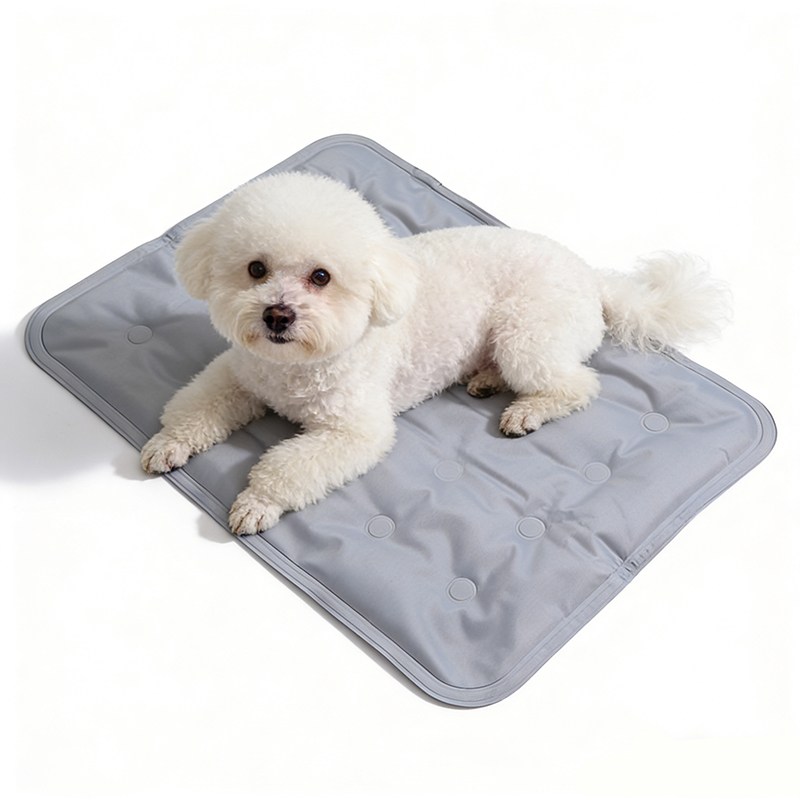 디엔피오 강아지 고양이 여름 쿨매트 가족공용 다용도 양면 매트 13,900원