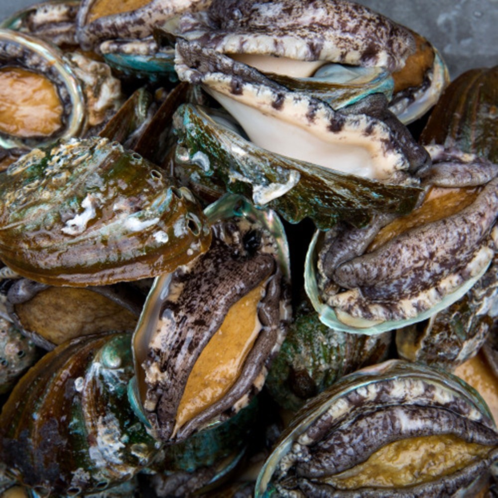 [선별최상품] 전복 완도 활전복 최상급 참전복 산소포장 가정용 선물용 디아머스 31,870원