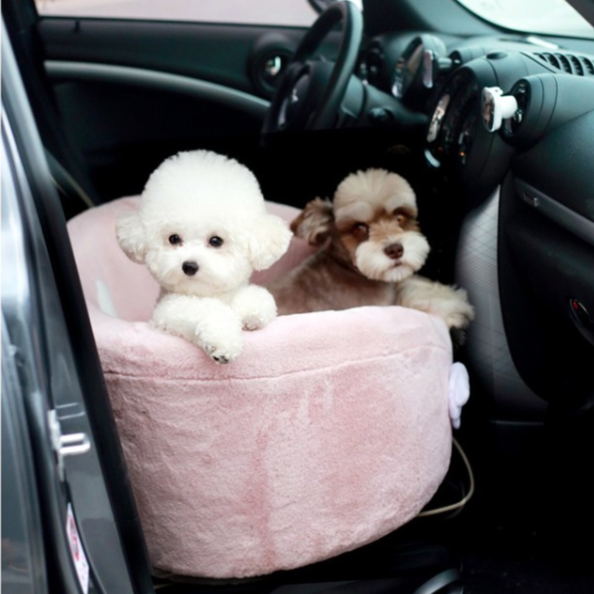 아페토 펫카시트 슈가윙 XL 35,000원