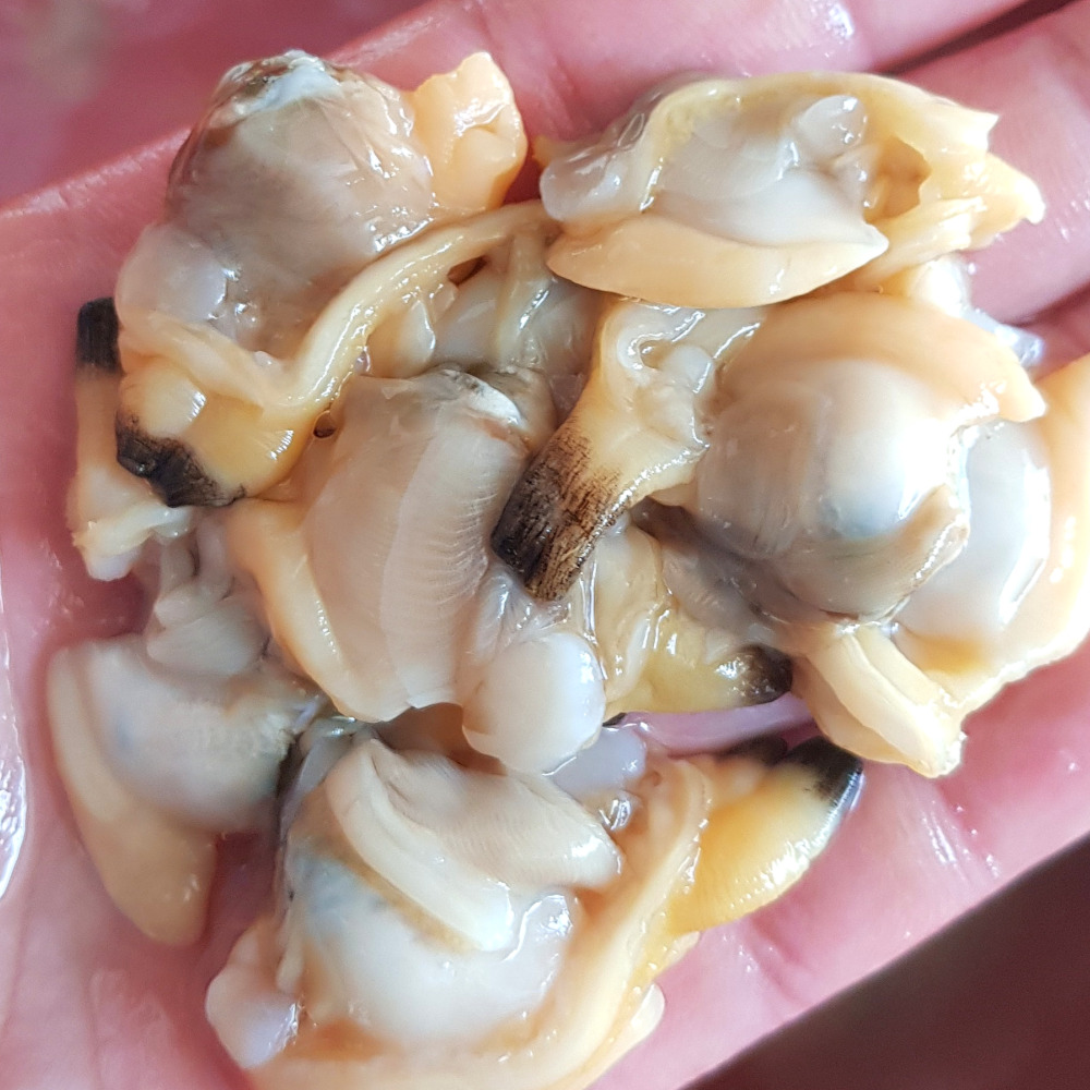 남해안 깐 바지락살 생 바지락살 손질 조갯살 무침 국물요리 바지락국 바지락 바지락요리 바지락술국 조개국 오올블루 14,900원