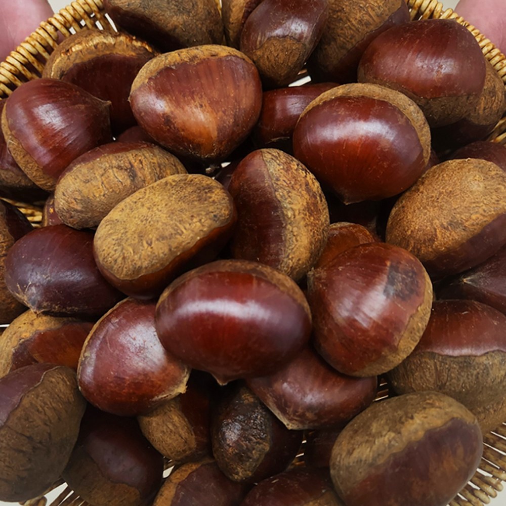 {정품} 산지직송 청담농수산 국내산 밤 19,700원