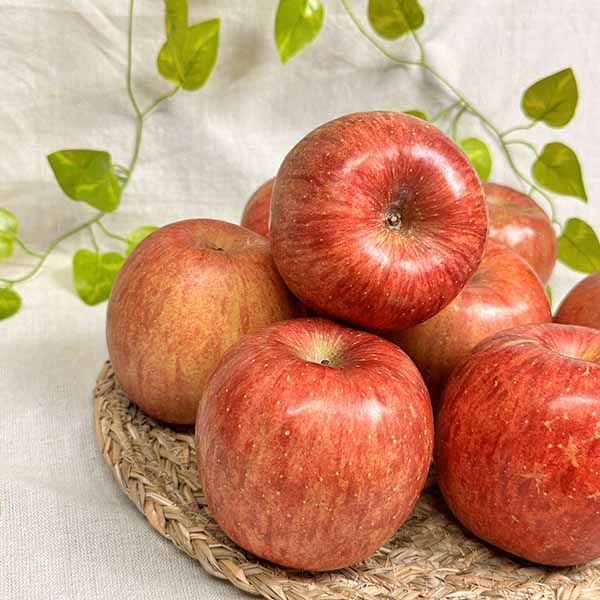 가정용 명품 경북 부사 사과, 1개 64,800원