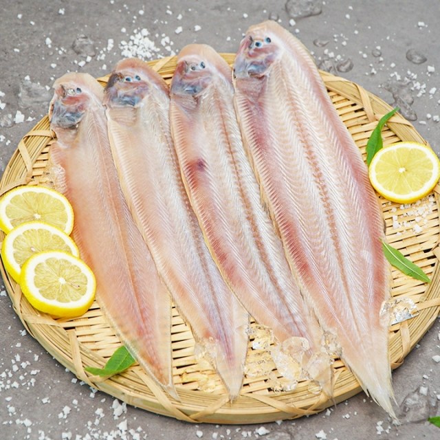 반건조생선 군산박대 서대, 5개 20,900원