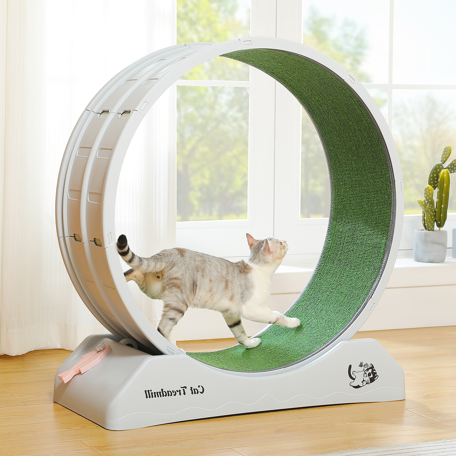 PAWZ Road 실내사용 ABS 저소음 캣휠 69,160원