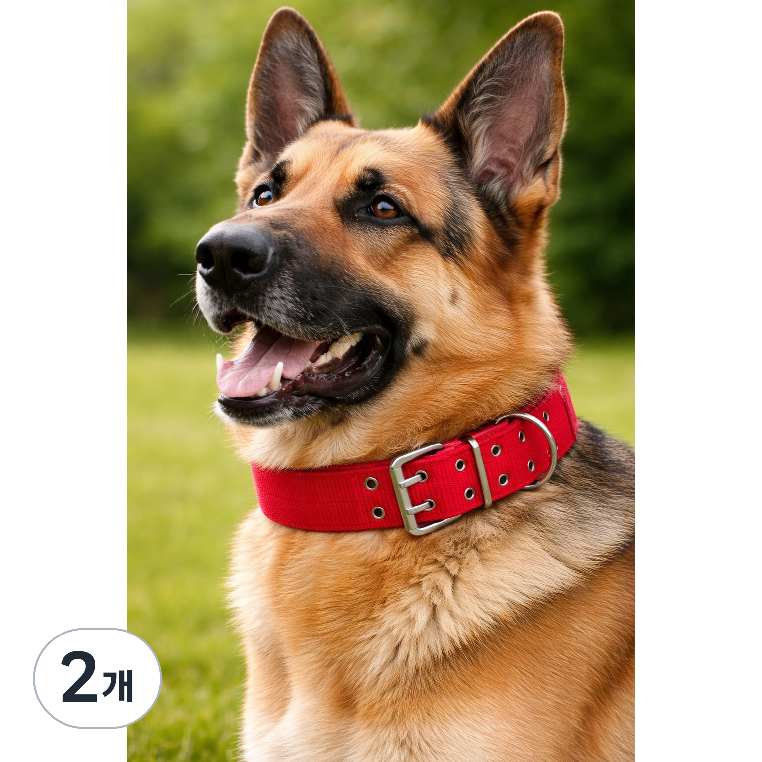 진진체인 강아지 목줄 대형견 목줄 초강력 두꺼운 나일론 고강도 개목줄 중대형견용, 2개, 레드 29,000원
