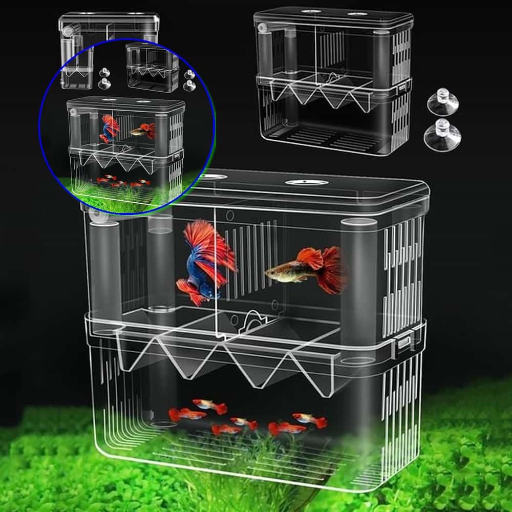 쌍문상회 구피 열대어 부화통 번식함 격리통 치어통 소형 2칸 산락통 40872EA 11,690원