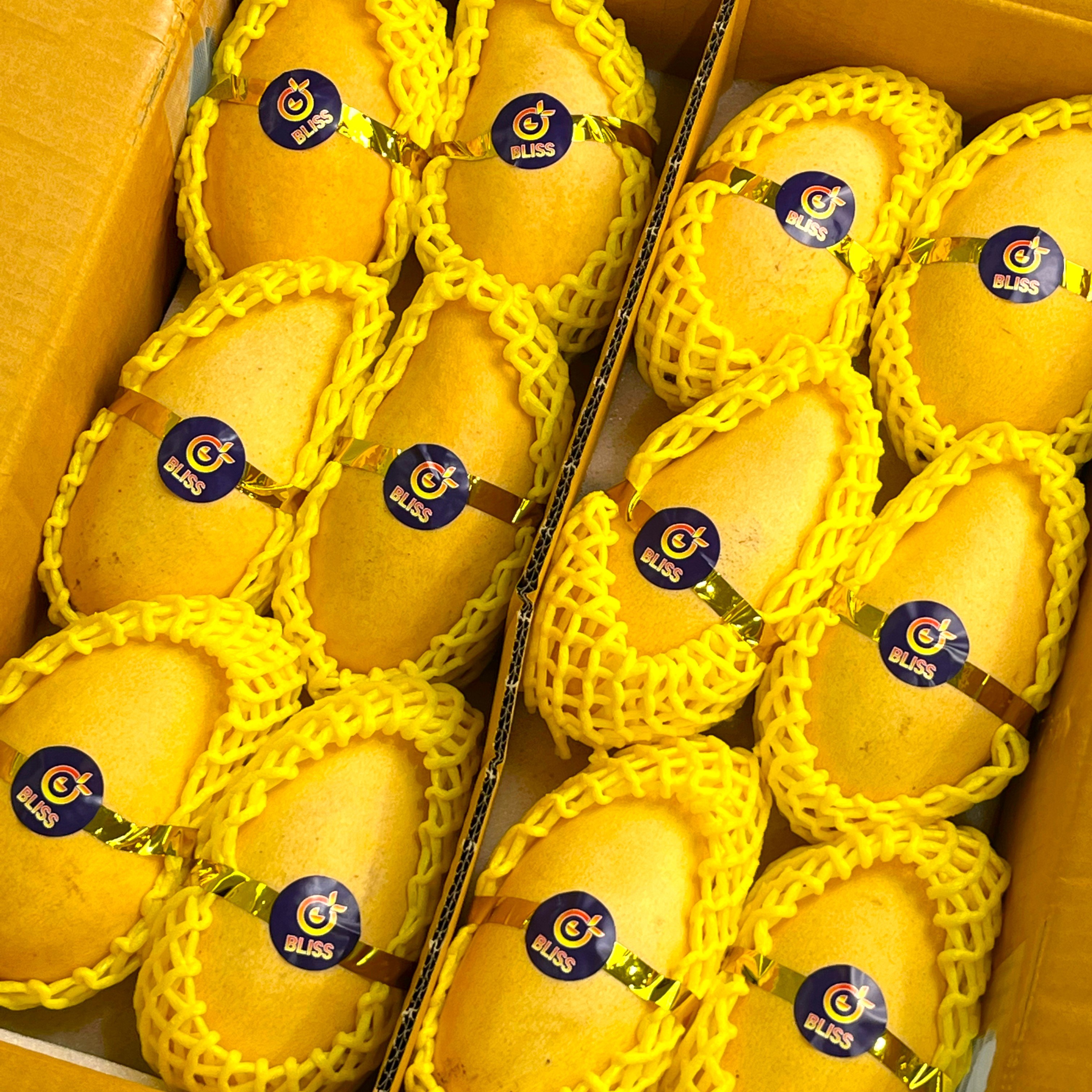 [프리미엄] 태국 남독마이 골드 망고 항공직송, 1박스, 2.5kg 32,600원