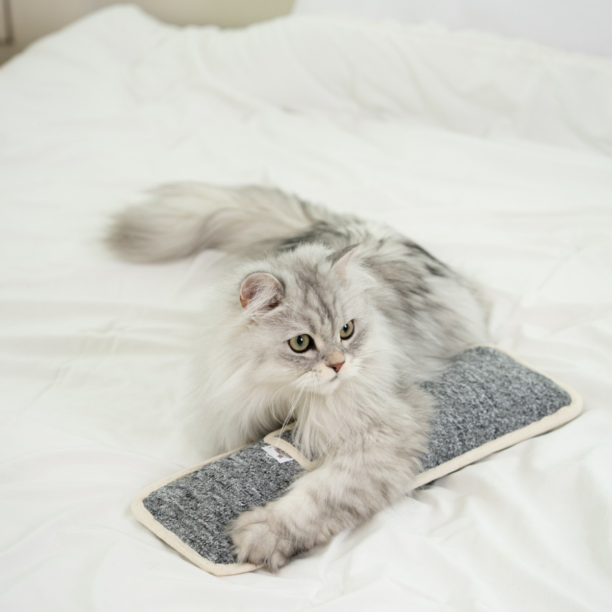 펫타임즈 포켓캣닢쿠션 속 까지 꽉찬 캣닢 쿠션 대형, 1개, 데님그레이 15,900원