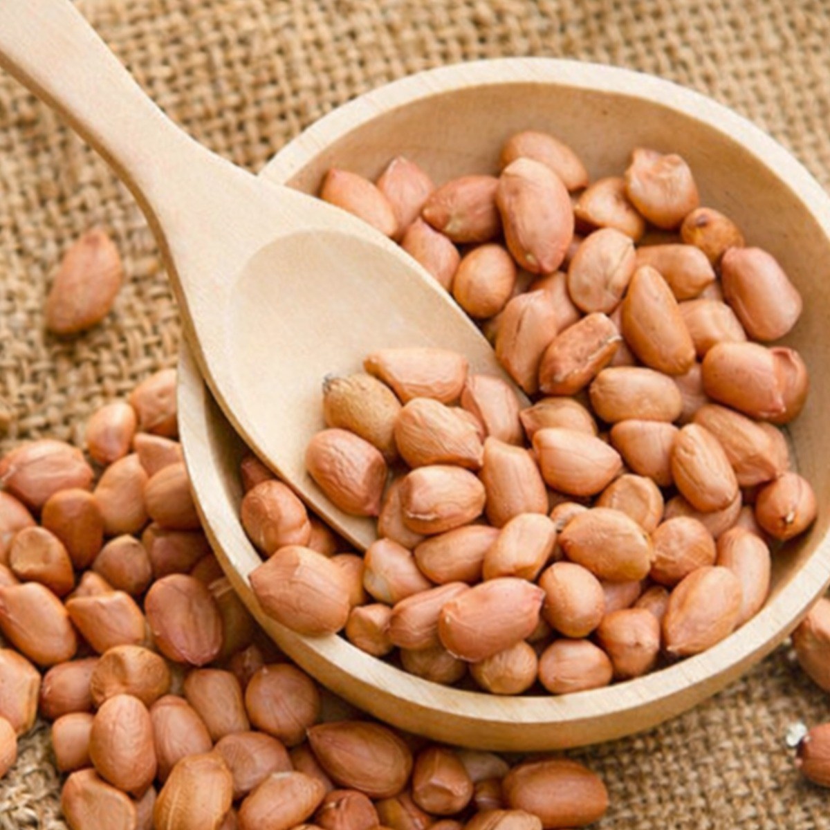 맛봉달 수입생땅콩 생땅콩 중국산 땅콩, 1개, 5kg 마대포장 48,390원