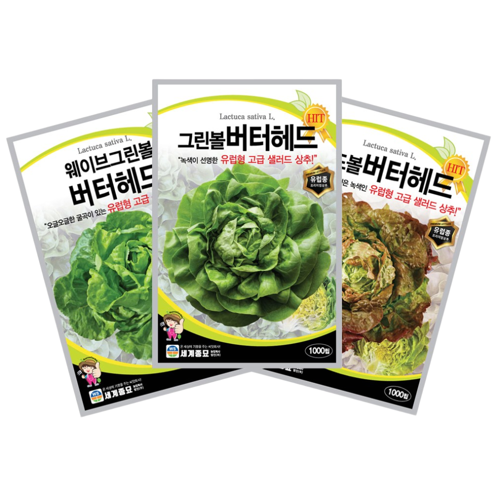 모칸도 추천 유럽 상추씨앗 모음 3종 세트 C 그린볼버터헤드,레드볼버터헤드,웨이브그린볼버터헤드, 1세트 14,900원