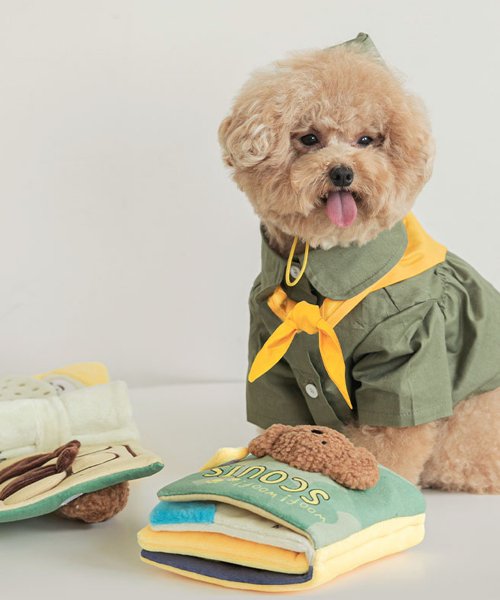 BITEME 바잇미 강아지 멍멍 스카우트 노즈워크 플레이북 장난감 752185 32,500원