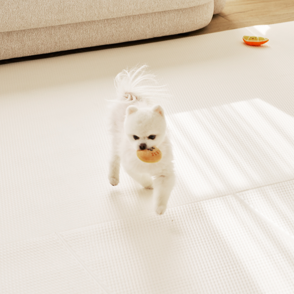 LIFANG 반려동물 미끄럼방지 매트 폴딩타입 12칸 169,900원