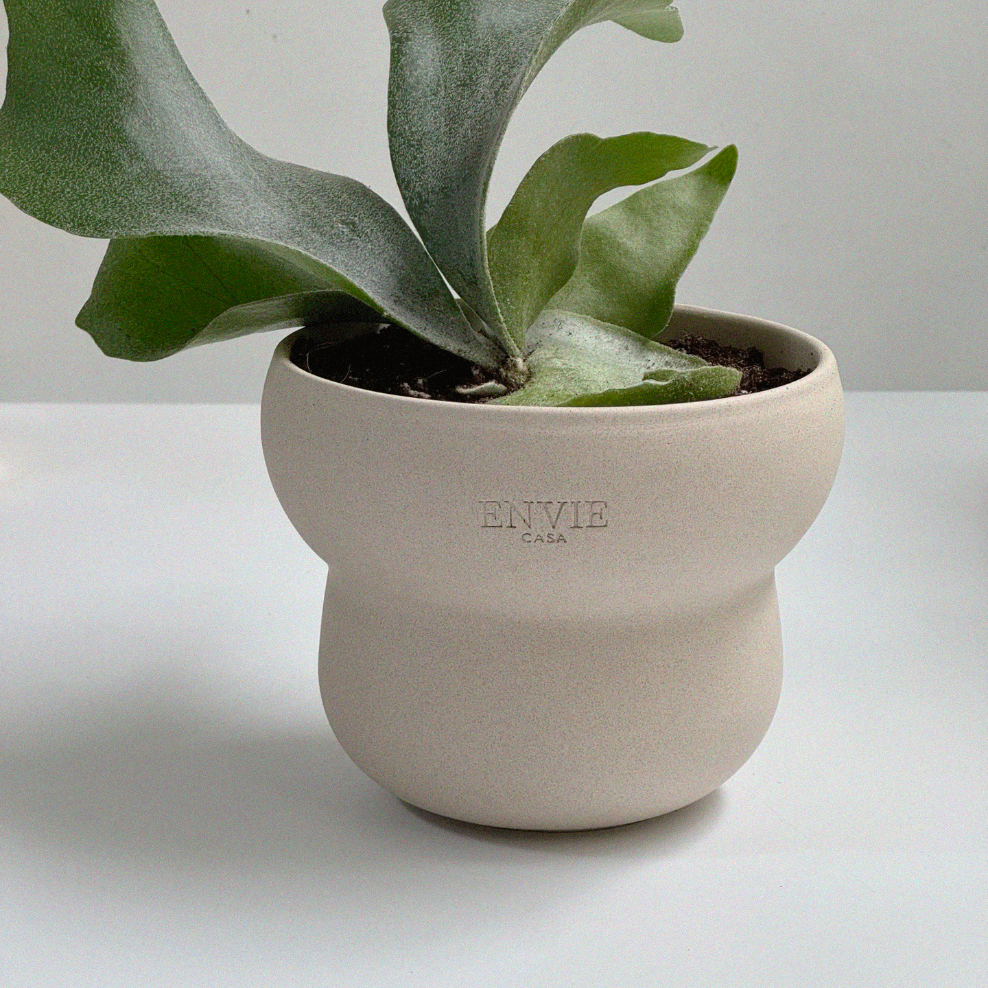 앙비까사 구름 토분, 1개, 베이지 12,180원