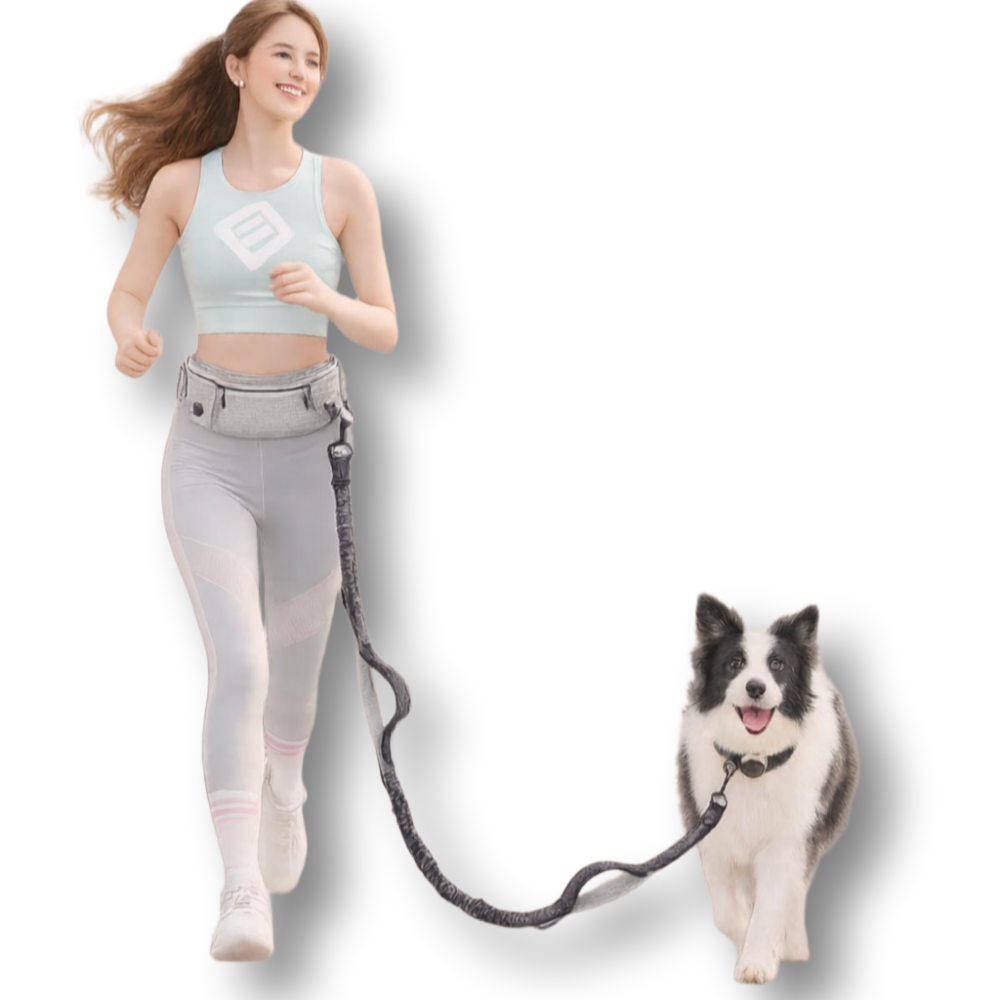 보담마망 강아지 하네스 목줄 리드줄 러닝 슬링백 대형견 소형견 산책 가방 28,900원