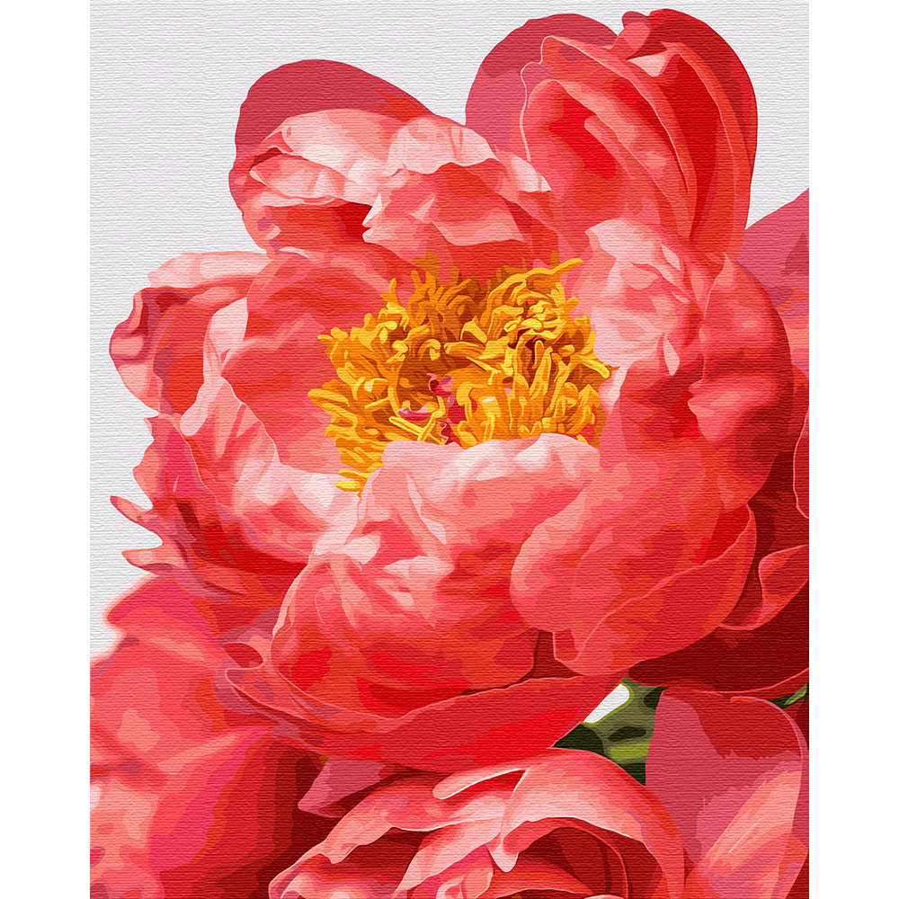 플레이어바웃 유화 피포페인팅 DIY 명화 그리기 40 x 50 cm 붉은 모란, 혼합색상, 1개 25,830원