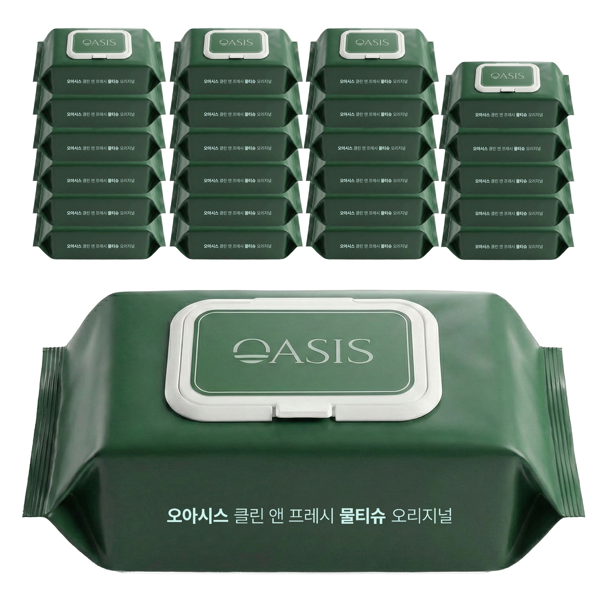 오아시스 캡형 물티슈 항균 일반용 480g, 24개, 80매, 45g 15,980원